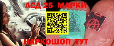 гашик Славгород