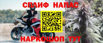 гашик Славгород