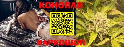 гашик Славгород