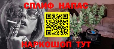 гашик Славгород