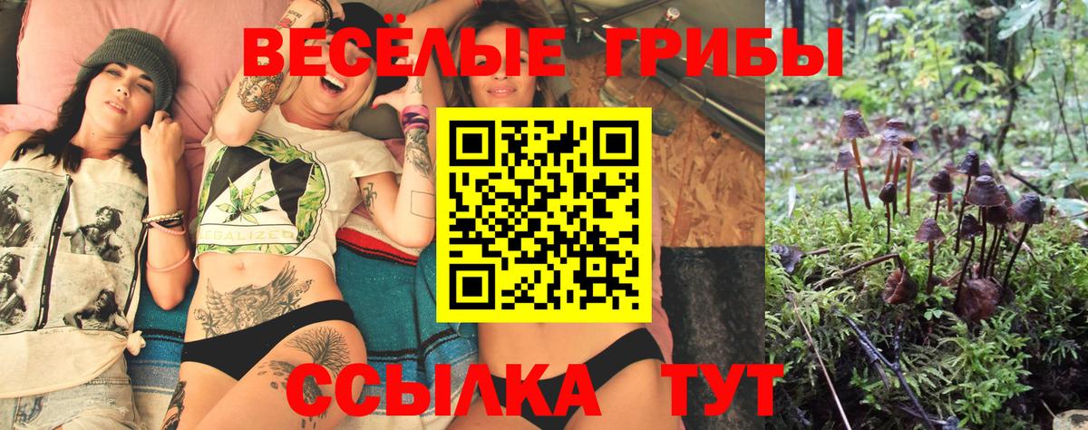 Новоалтайск  Галлюциногенные грибы ЛСД  Вход с VPN 